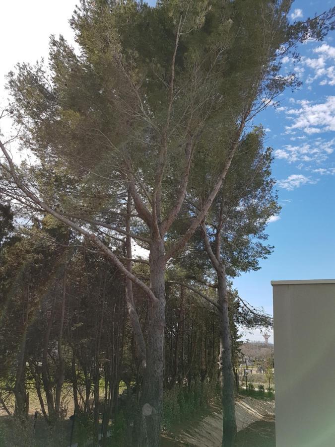 Appt Style Montpellier , Terrasse,Garage Apartment ลัต ภายนอก รูปภาพ